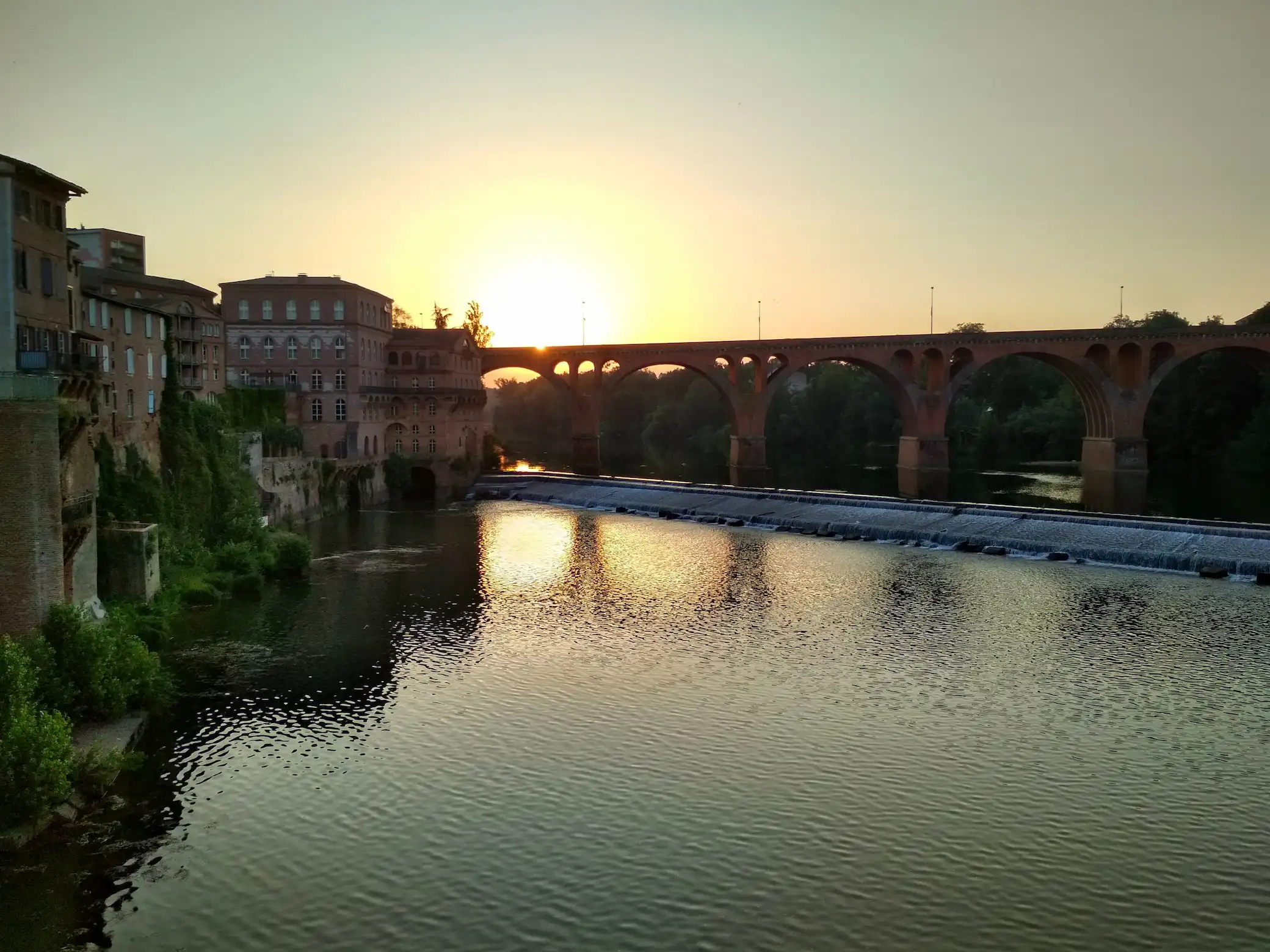 ALBI